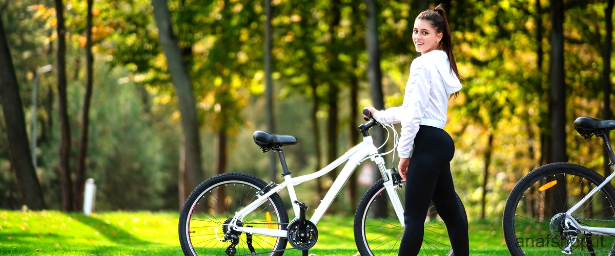 Quali sono le disposizioni della legge riguardo alle biciclette elettriche?
