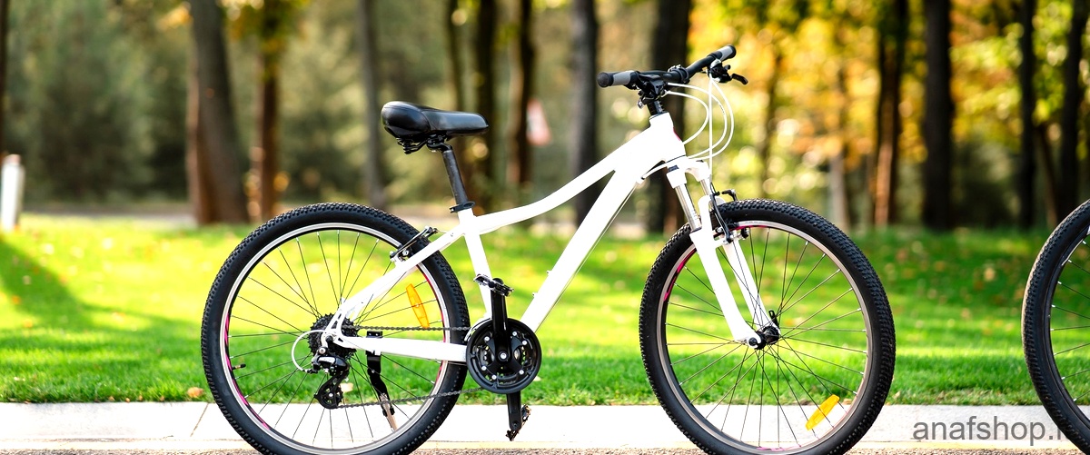 Quanto costa una bici elettrica alla Decathlon?