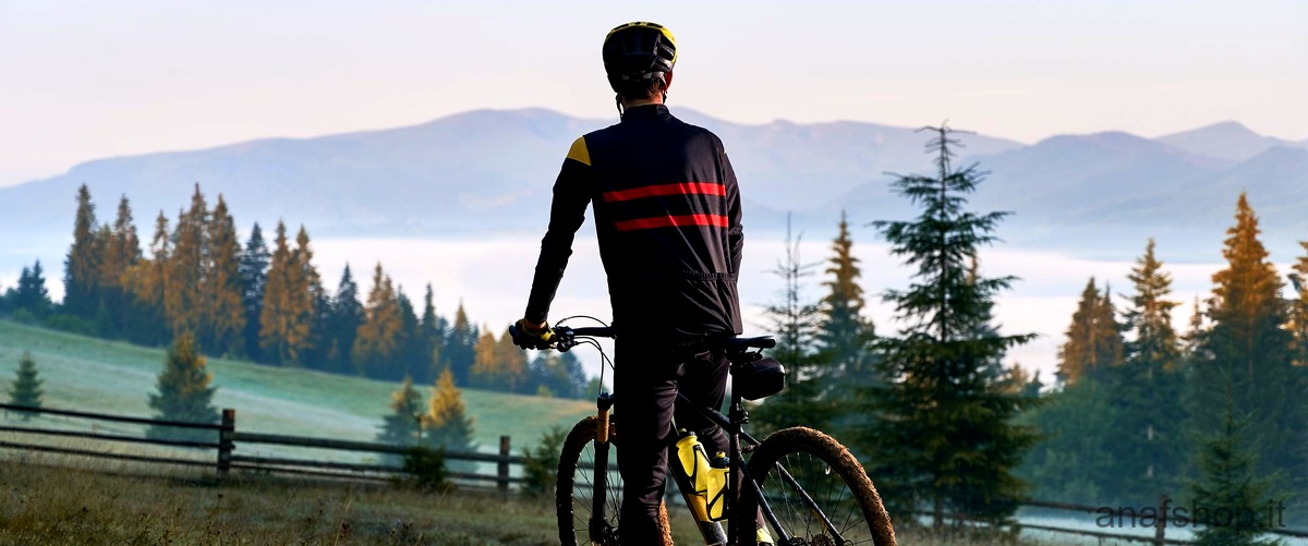 Quanto costa una mountain bike professionale?